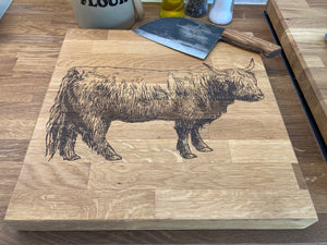 
                  
                    Hamish the Highland Cow
                  
                