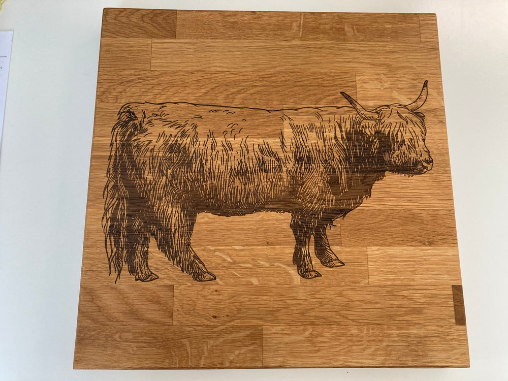 
                  
                    Hamish the Highland Cow
                  
                